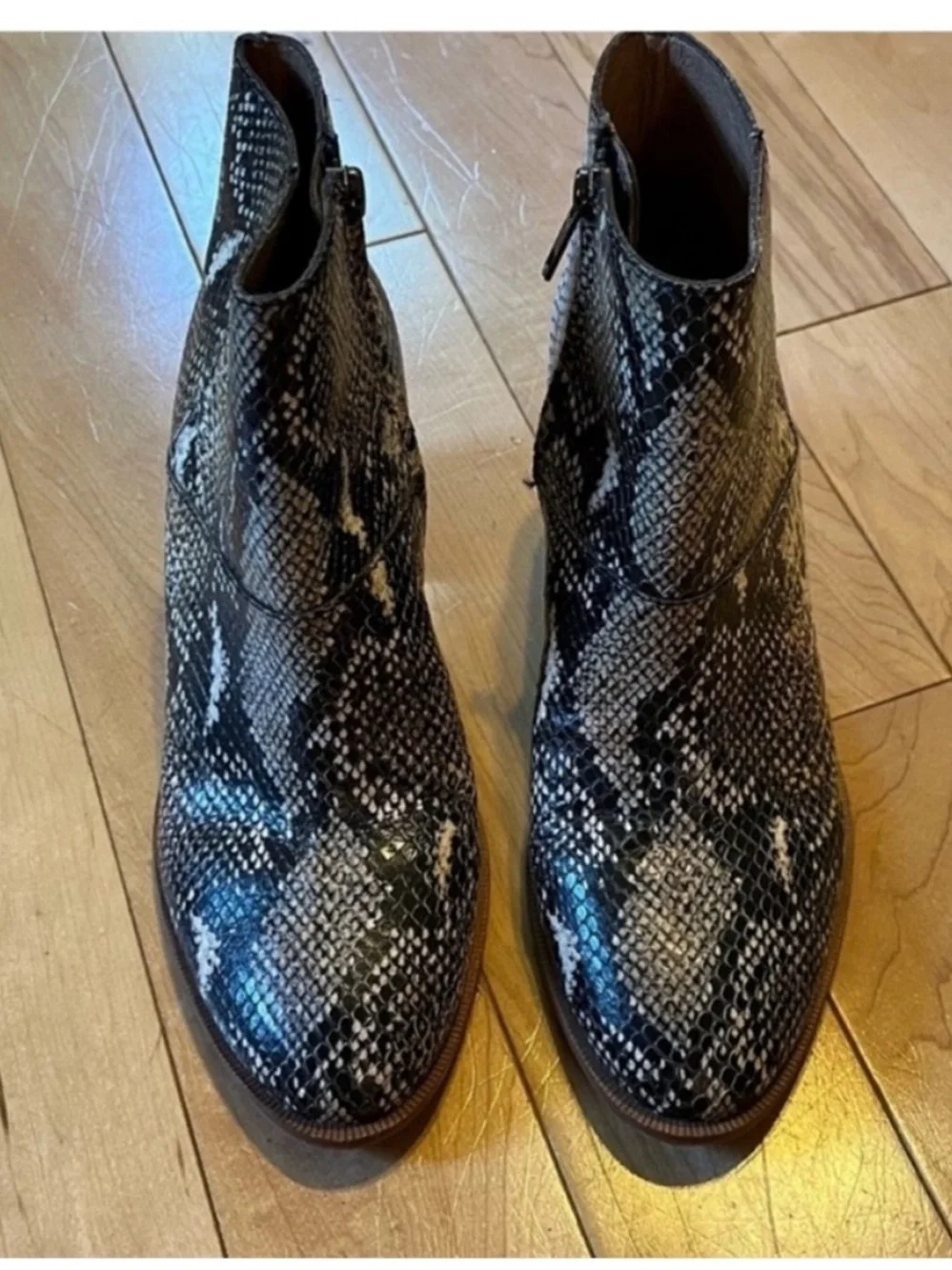 Madewell Ankle Boots Snake Embossed Leather Moonstone Multi size seven (7)